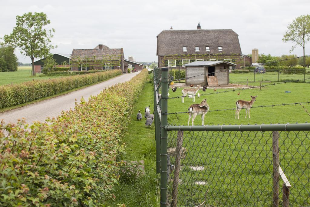 Bakhuis Het Oude Klooster Acomodação com café da manhã Montfoort Exterior foto